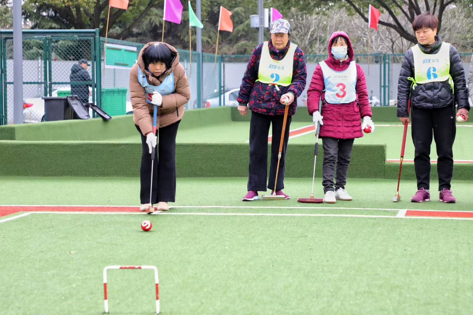 温州门球_(温州门球草) 第2张 温州门球_(温州门球草) 第2张