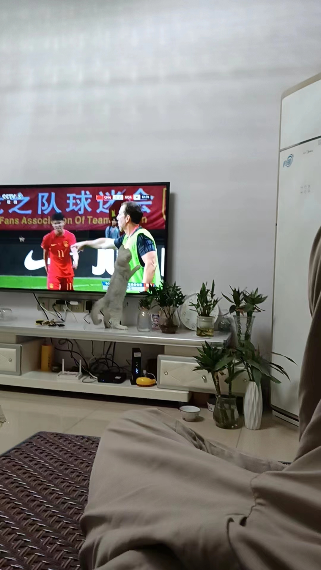 看球宝赛事直播_(看球宝比赛直播在线观看回放) 第2张 看球宝赛事直播_(看球宝比赛直播在线观看回放) 第2张