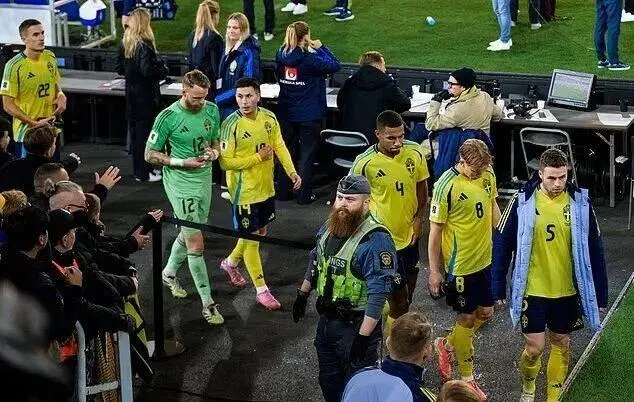 包含阿斯顿维拉免签林德洛夫瑞典后卫继续留在英超征战的词条  第1张