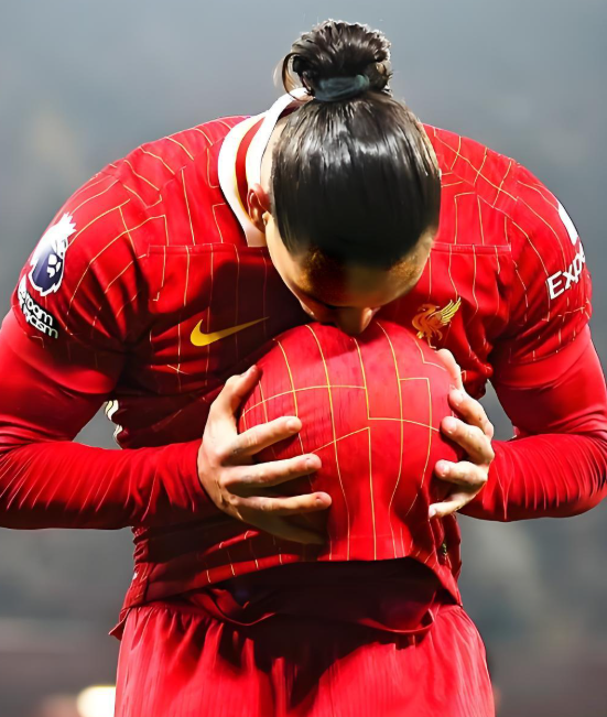 关于曝努涅斯得到沙特球队关注利物浦愿意放人的信息 第1张 关于曝努涅斯得到沙特球队关注利物浦愿意放人的信息 第1张