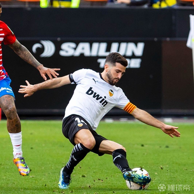 豪梅多梅内奇宣布退役为瓦伦西亚效力长达10年的简单介绍  第1张