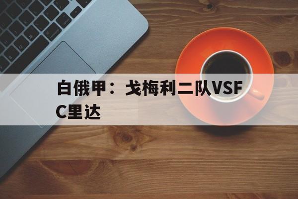 包含白俄甲:戈梅利二队VSFC里达的词条 第1张 包含白俄甲:戈梅利二队VSFC里达的词条 第1张