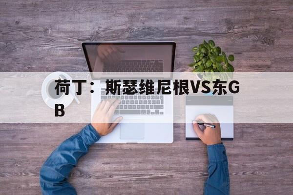 荷丁：斯瑟维尼根VS东GB  第1张