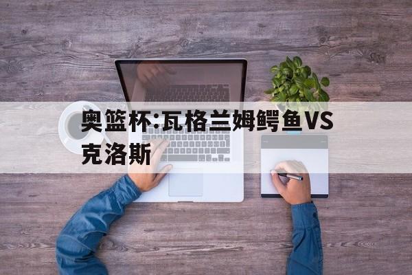 关于奥篮杯:瓦格兰姆鳄鱼VS克洛斯的信息  第1张